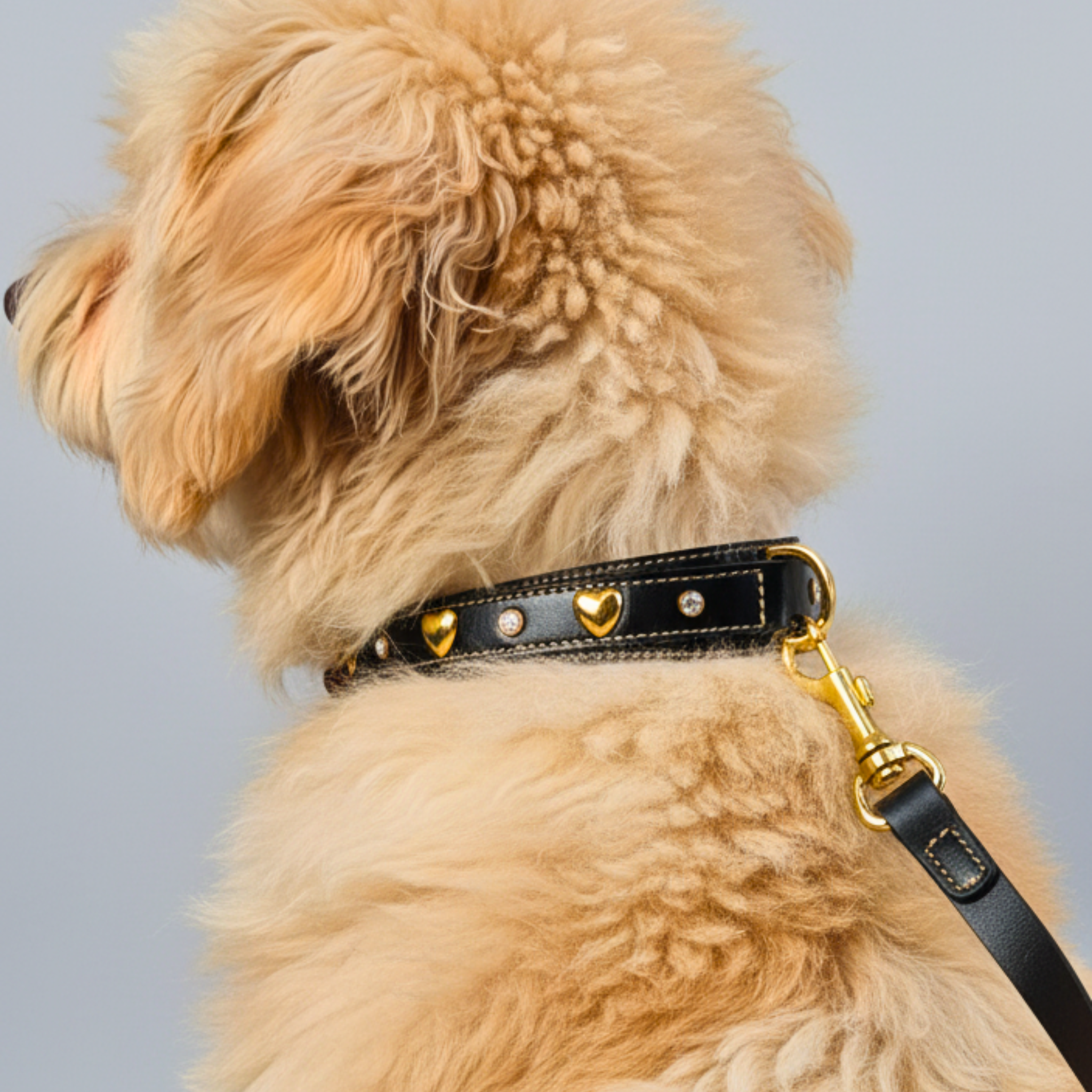 Set Collare con Cristalli e Guinzaglio in Pelle per Cani